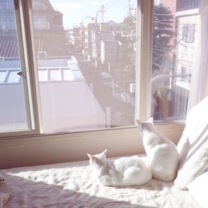 绝世好儿媳漫画最新章节更新内容介绍
